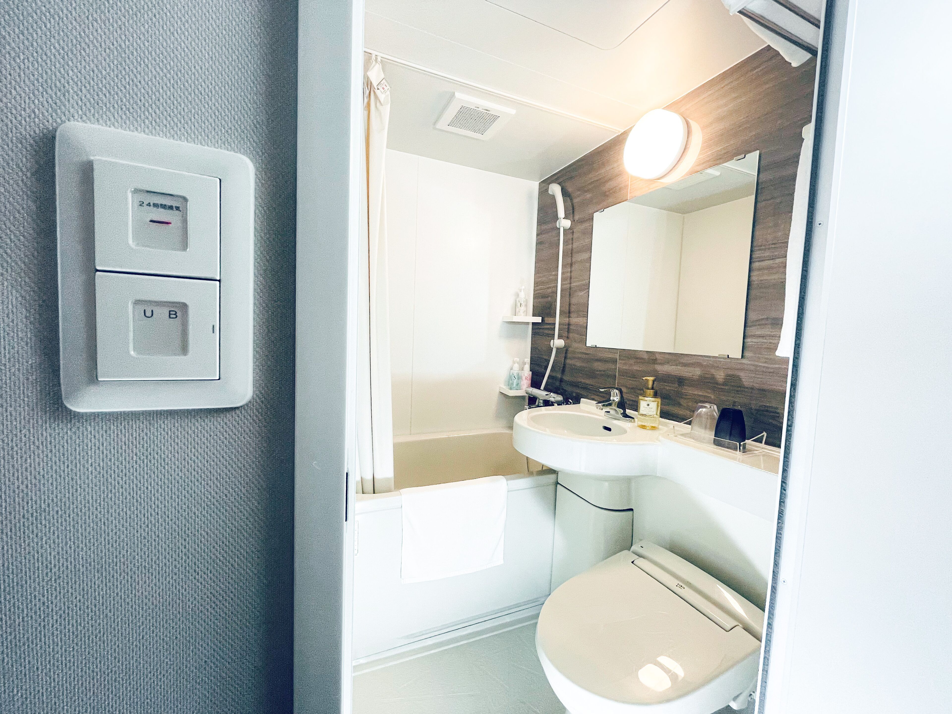 combined shower/bathtub, free toiletries, hair dryer, slippers