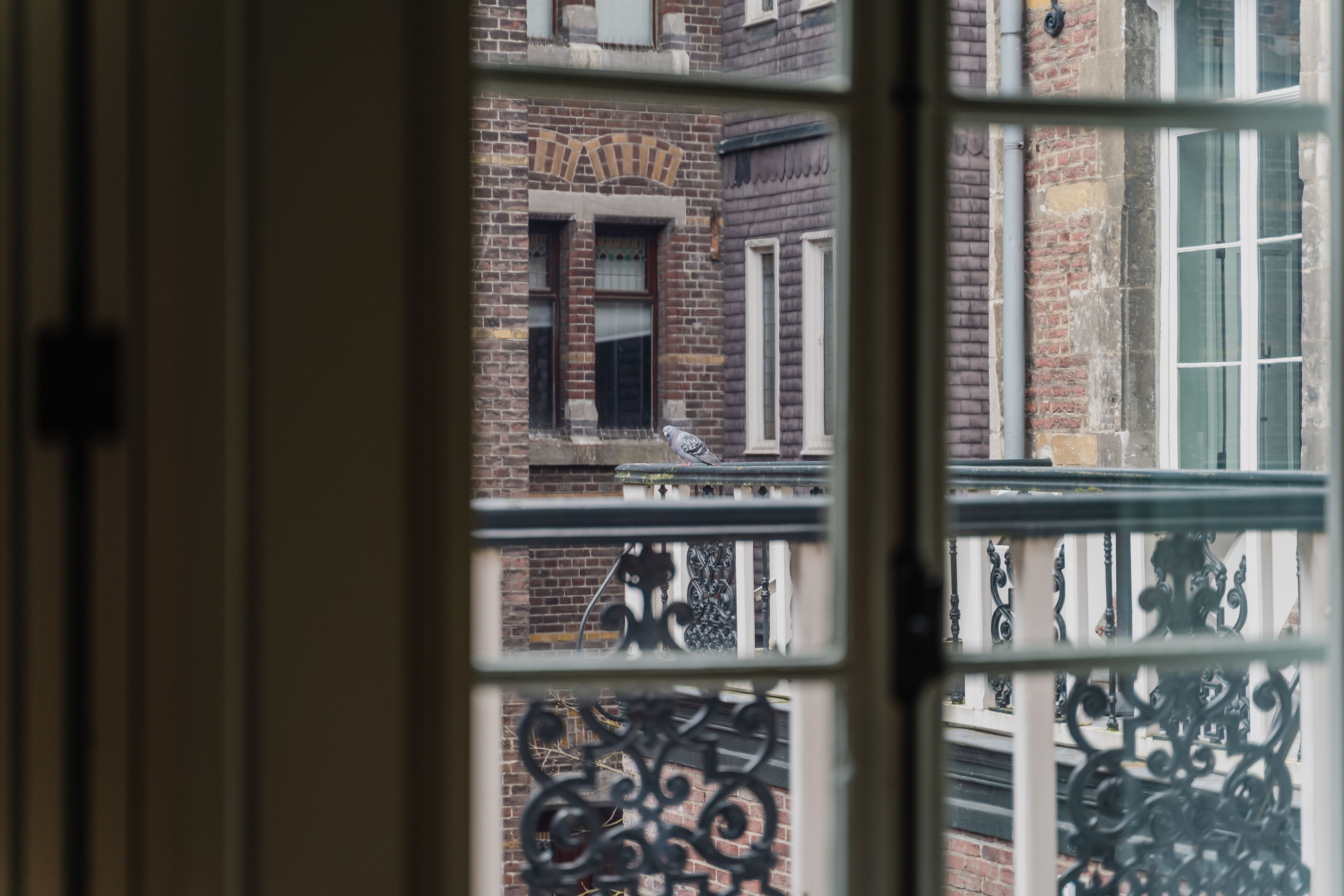 A view through a window with a decorative iron railing, brick buildings, and a clear sky.