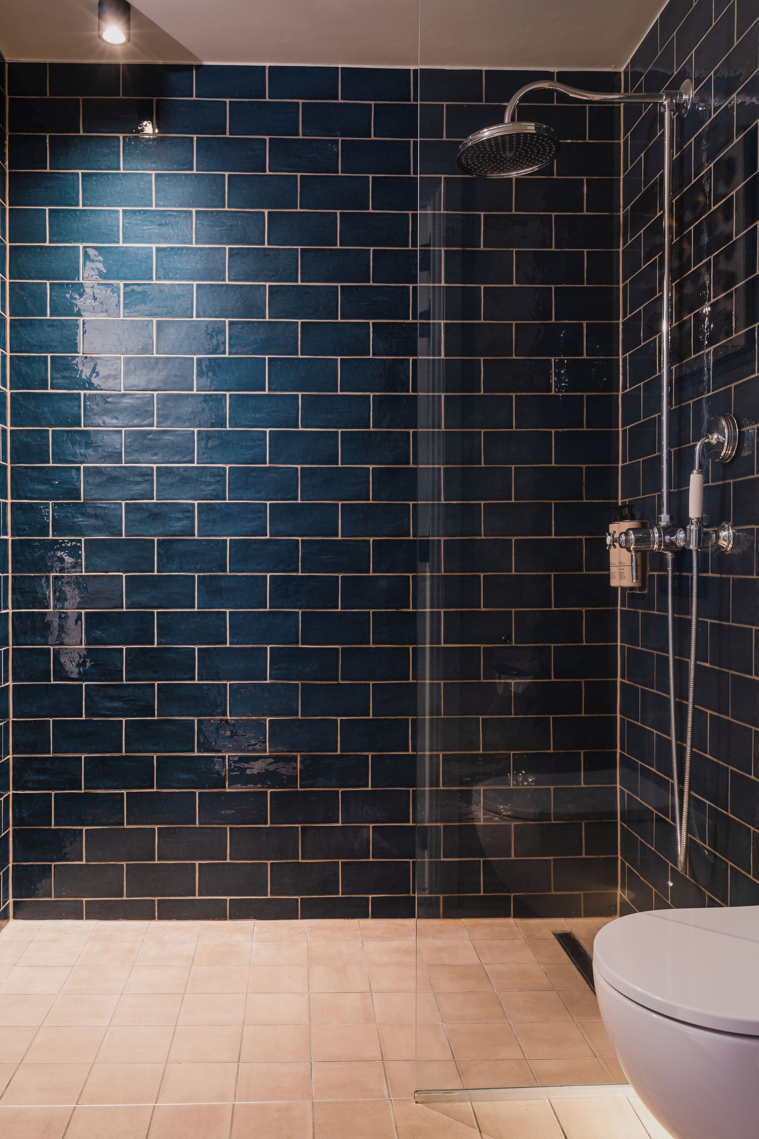 A modern bathroom with dark blue tiled walls, a glass shower enclosure, and a white toilet.