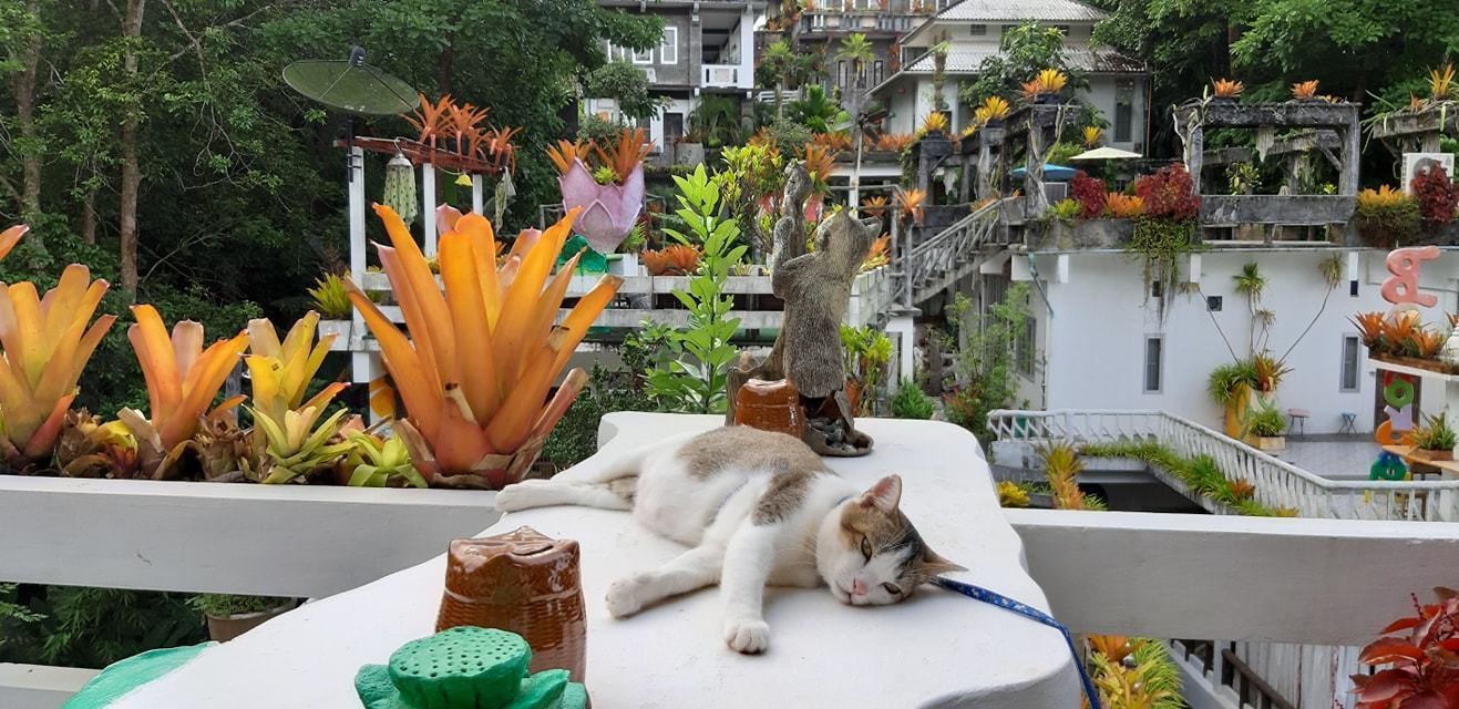 Tomoko | Living area