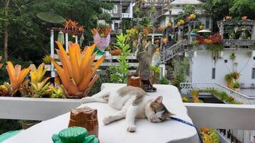 Tomoko | Living area