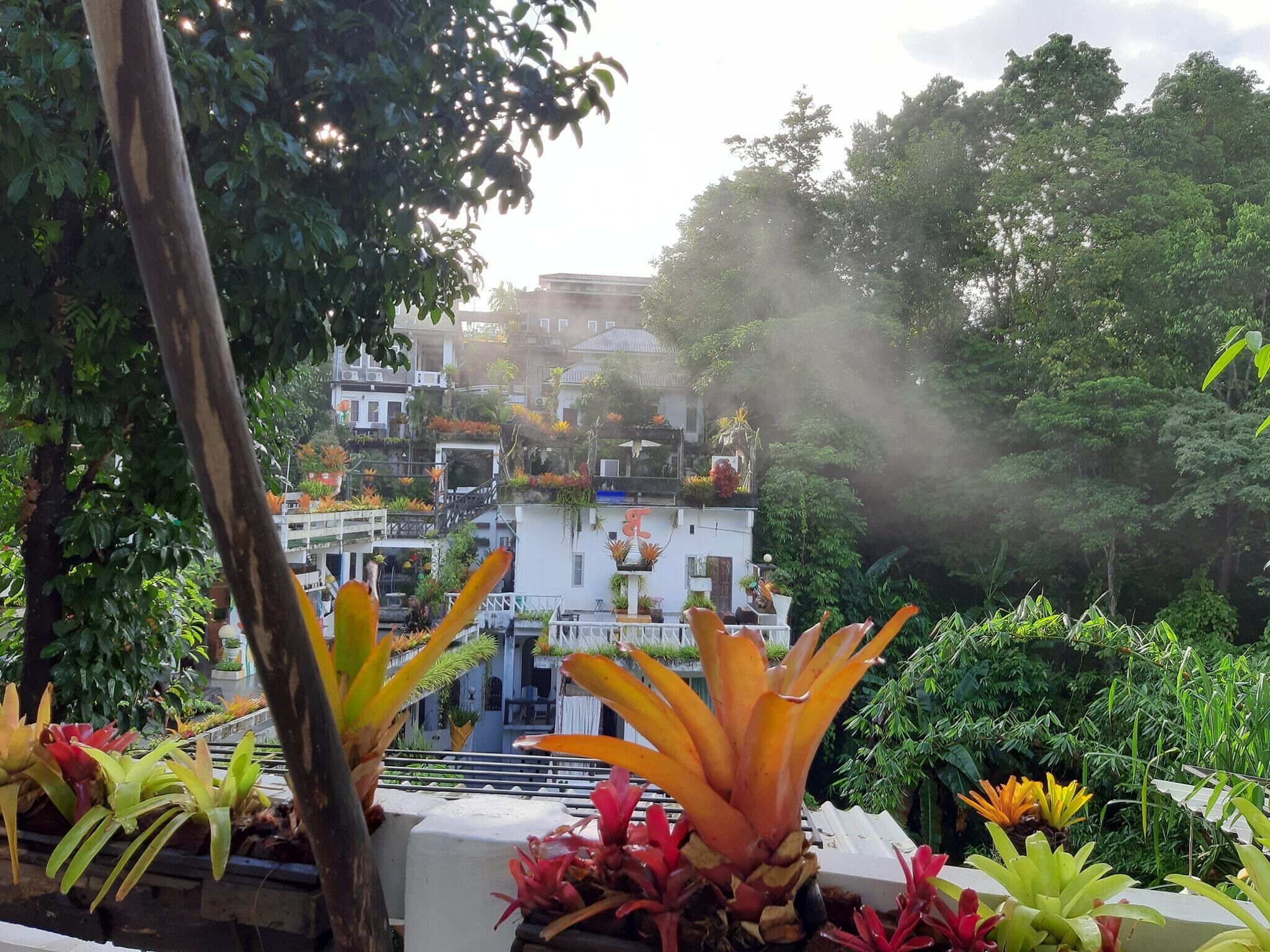 Dhonavanit | Terrace/patio