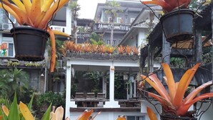 A garden with hanging planters of yellow and orange foliage, a white structure with a balcony, and a building in the background. - Ban Thor Phan (Sangkhla Buri)