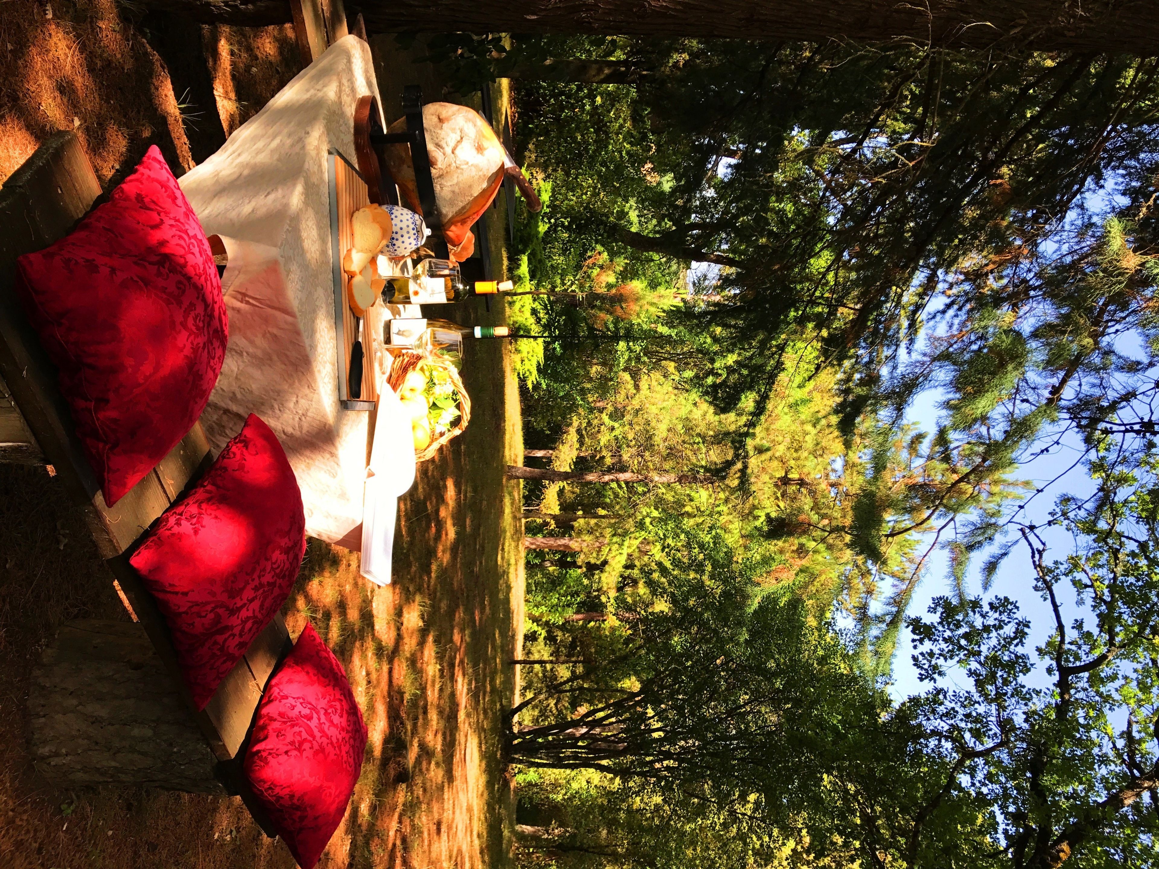 A dining area with a table set for two, surrounded by red cushions, in a forested setting.