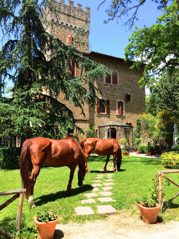 Pet-friendly - Castello Cortevecchio (Gubbio)