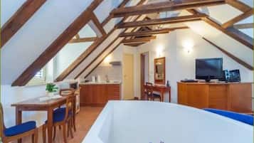 Deluxe Apartment | Living area | Plasma TV, DVD player