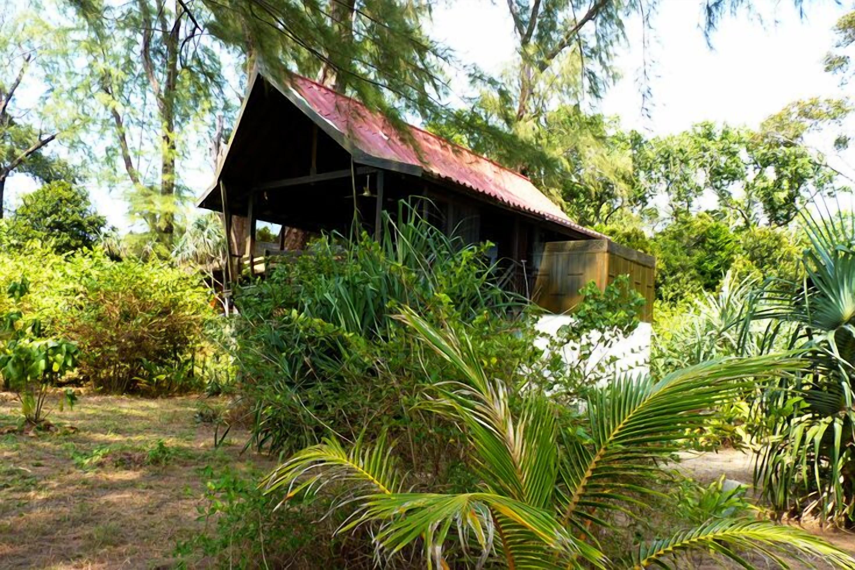 A rustic wooden structure with a corrugated metal roof, surrounded by dense tropical vegetation.
