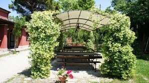 Breakfast area - Agriturismo Case Mori (Rimini)