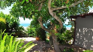 A garden with a tree, potted plants, and a view of the sea. - Admirals Rest Self-Catering House (Mossel Bay)