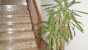 Una escalera con barandilla de madera y una planta en maceta al pie.