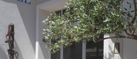 Entrada de la propiedad