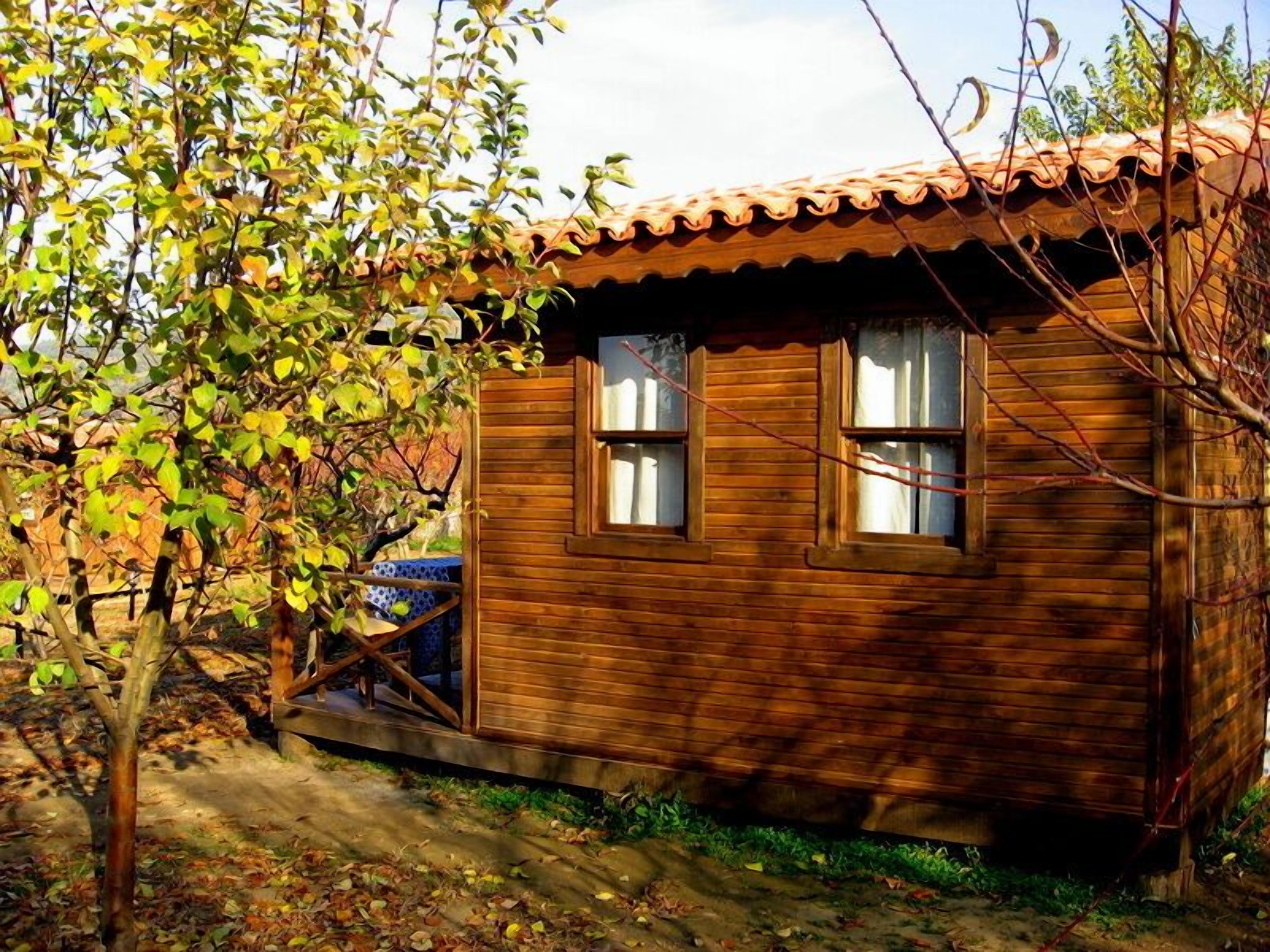 standard tree house | 1 bedroom, egyptian cotton sheets, premium bedding, minibar