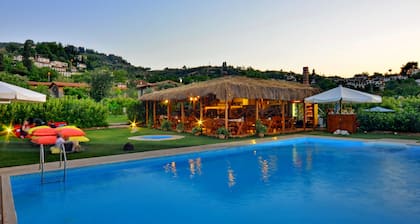 Salkim Konak Agac Evler