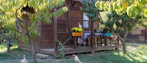 A rustic wooden cabin with a porch, surrounded by trees and grass.