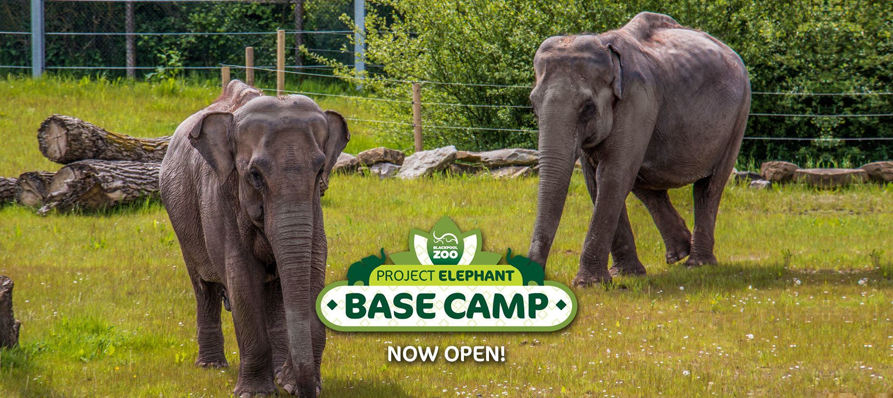 Photo - The Gatsby Blackpool - Formerly The Windsor