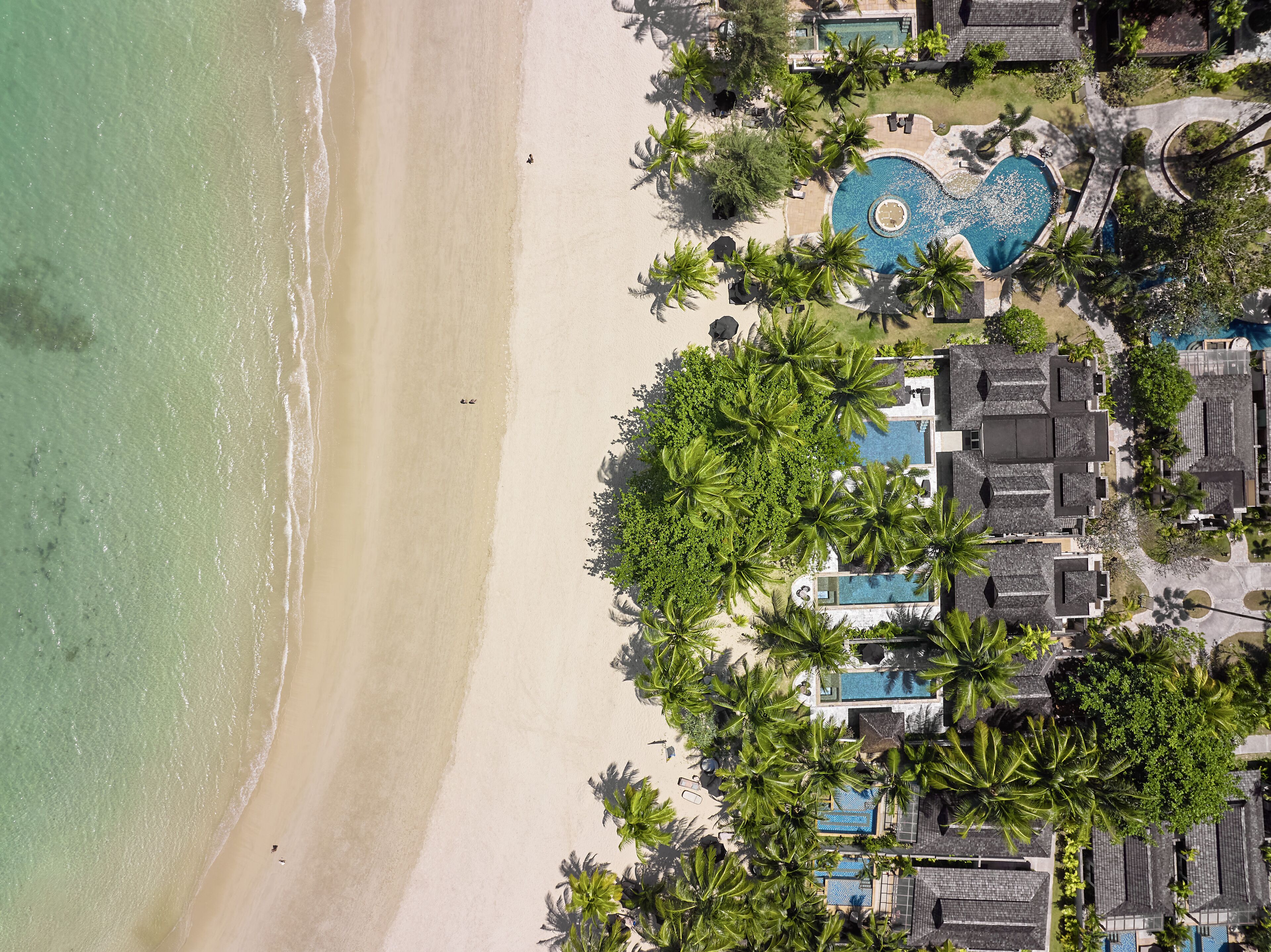 An aerial view of a resort with a beach, palm trees, and a swimming pool.