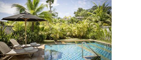 Una piscina con sillas de descanso y una sombrilla, rodeada de exuberante vegetación.