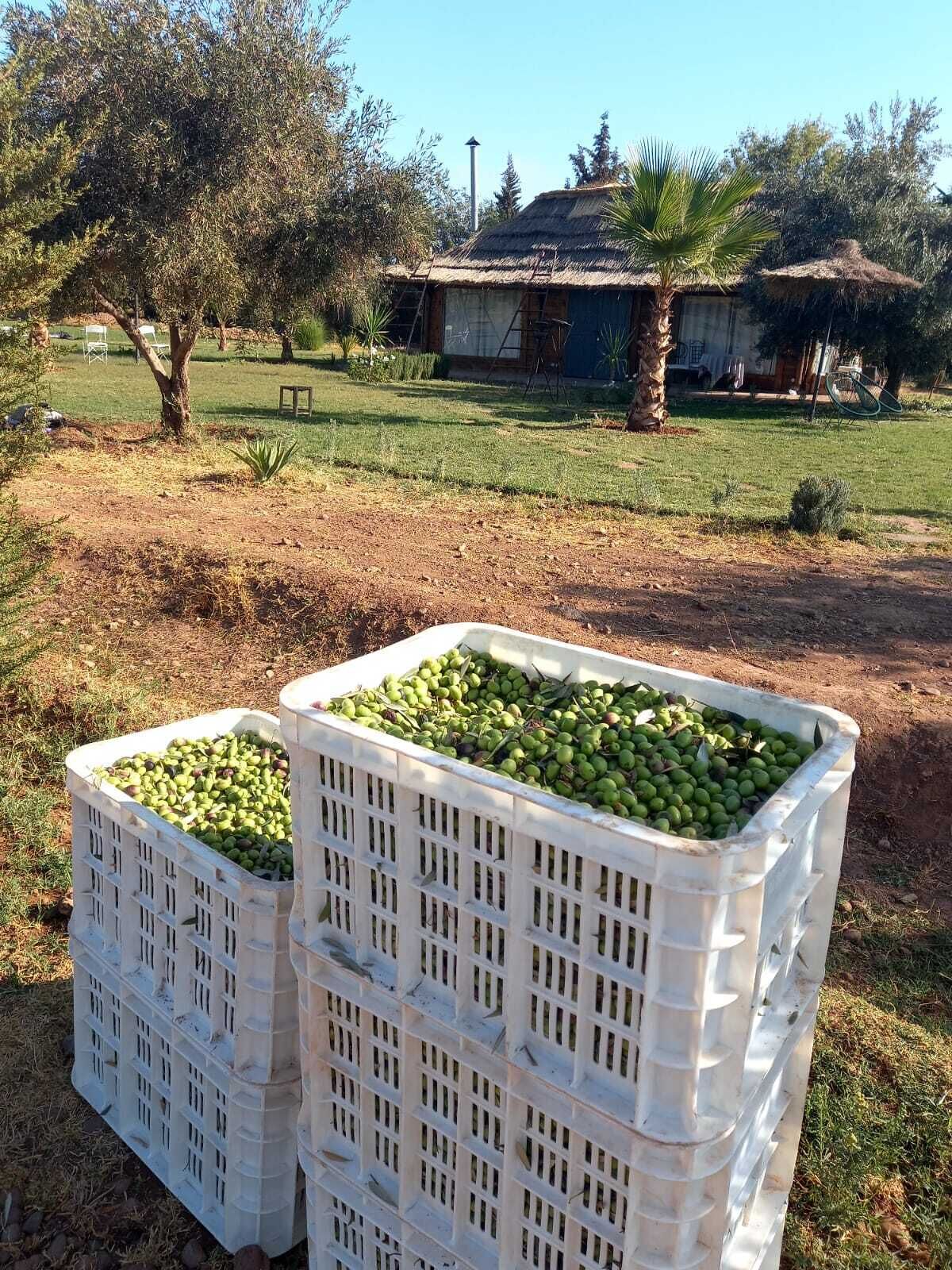 Foto - Hotel & Spa La Ferme El Dar