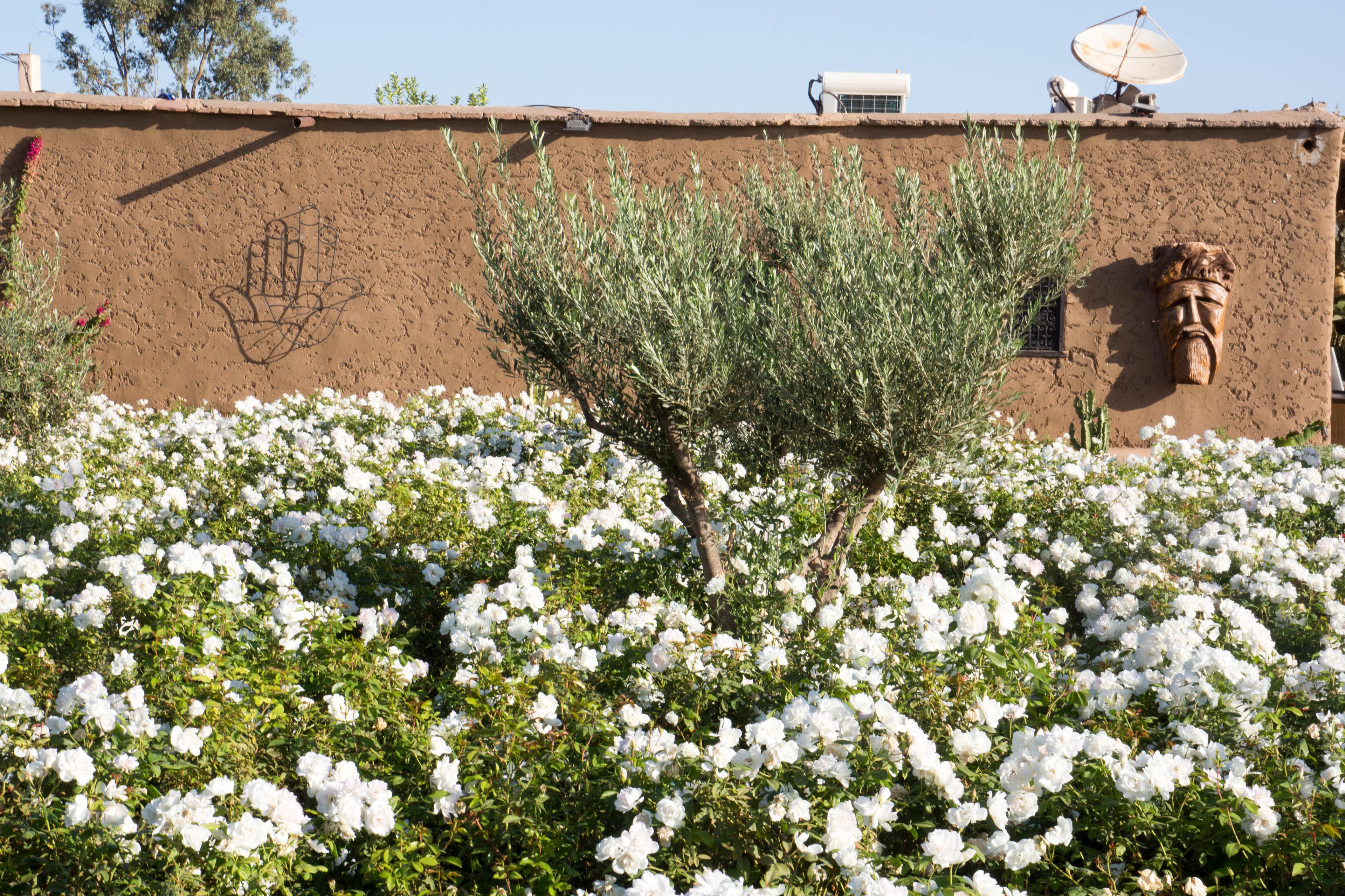 Foto - Hotel & Spa La Ferme El Dar