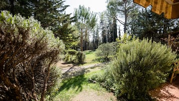 Appartamento Classic, 1 letto queen con divano letto, cucina, lato giardino | Vista giardino