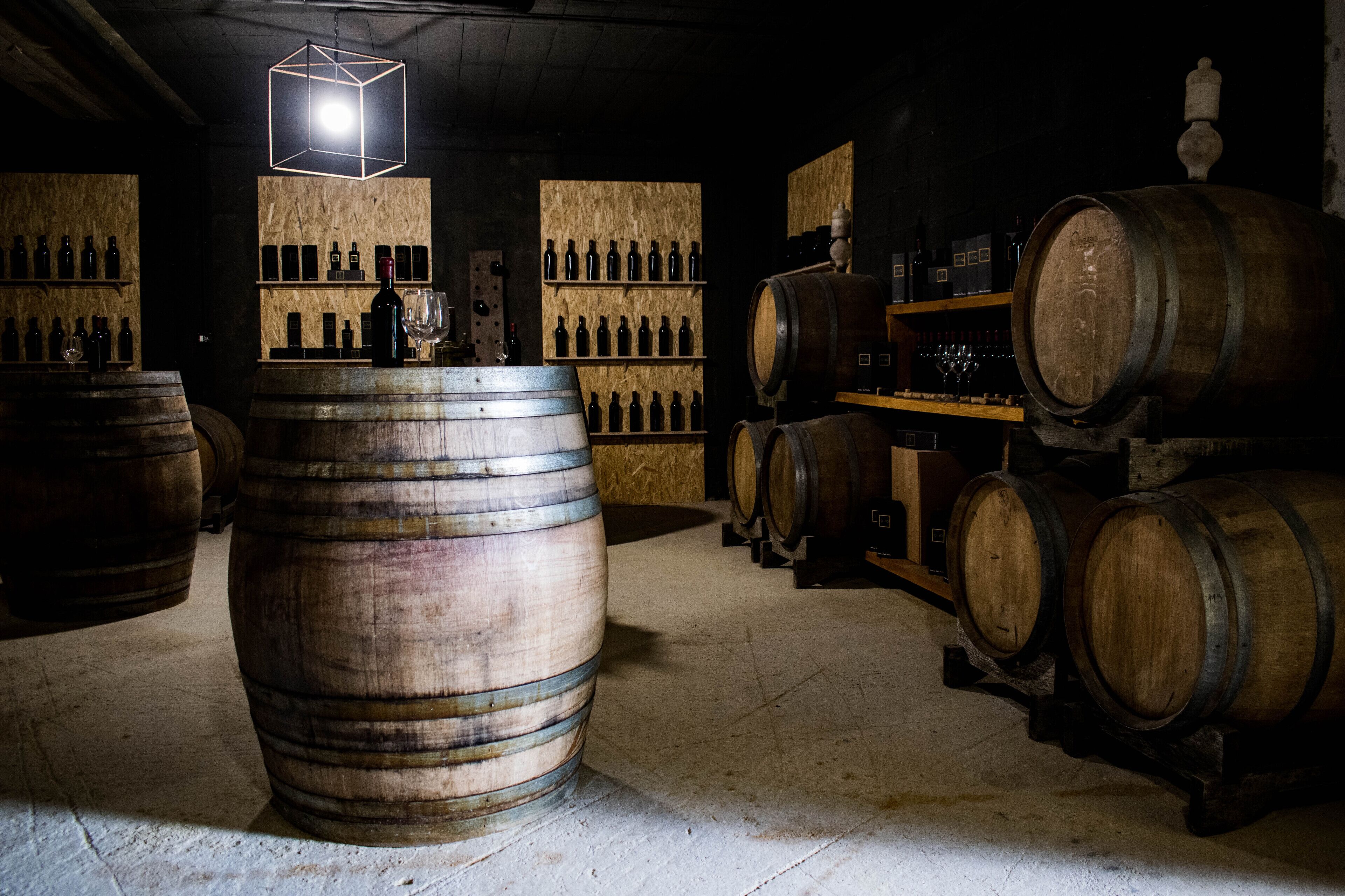 Foto - Fattoria Sant'Andrea - Farm Stay