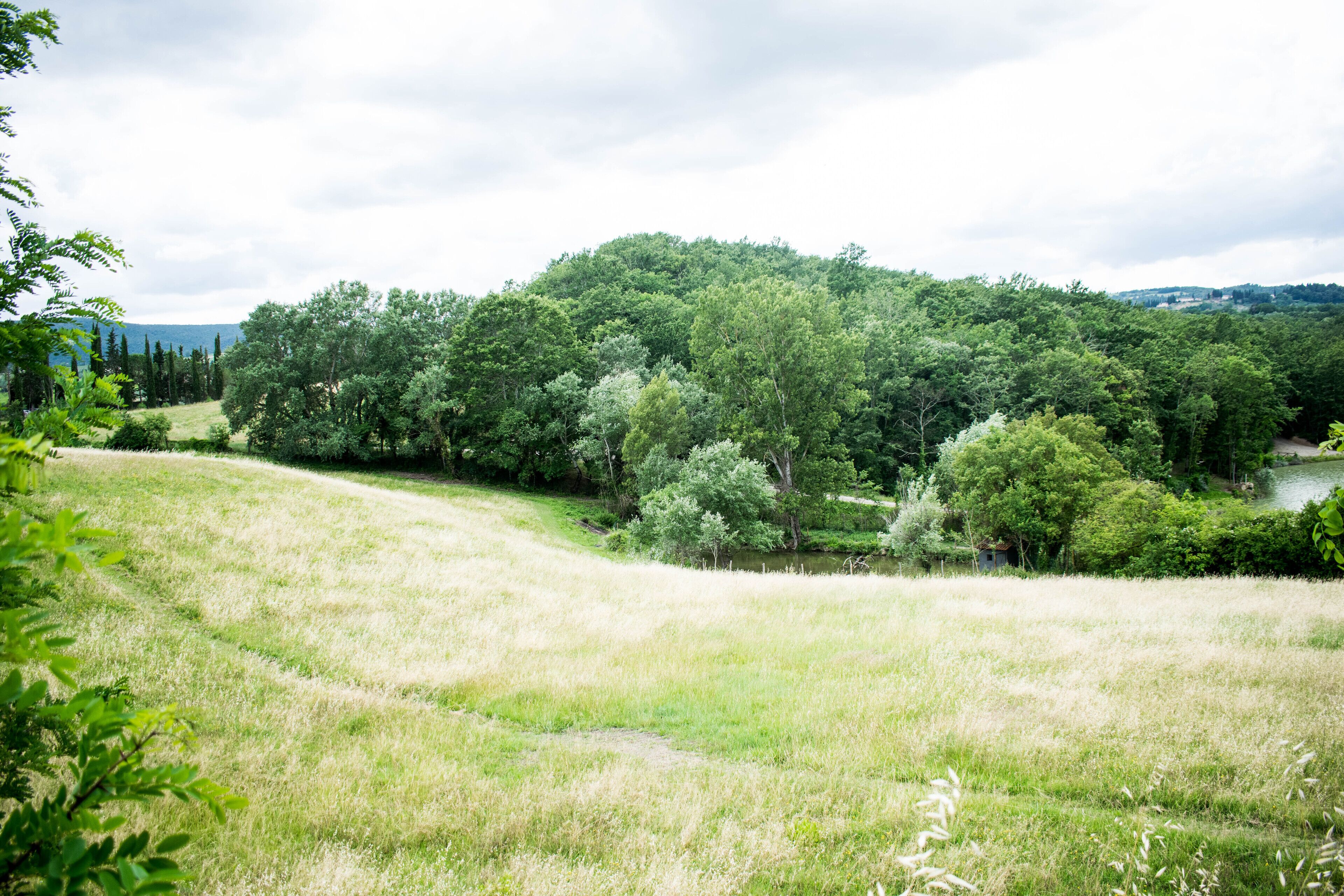 Foto - Fattoria Sant'Andrea - Farm Stay