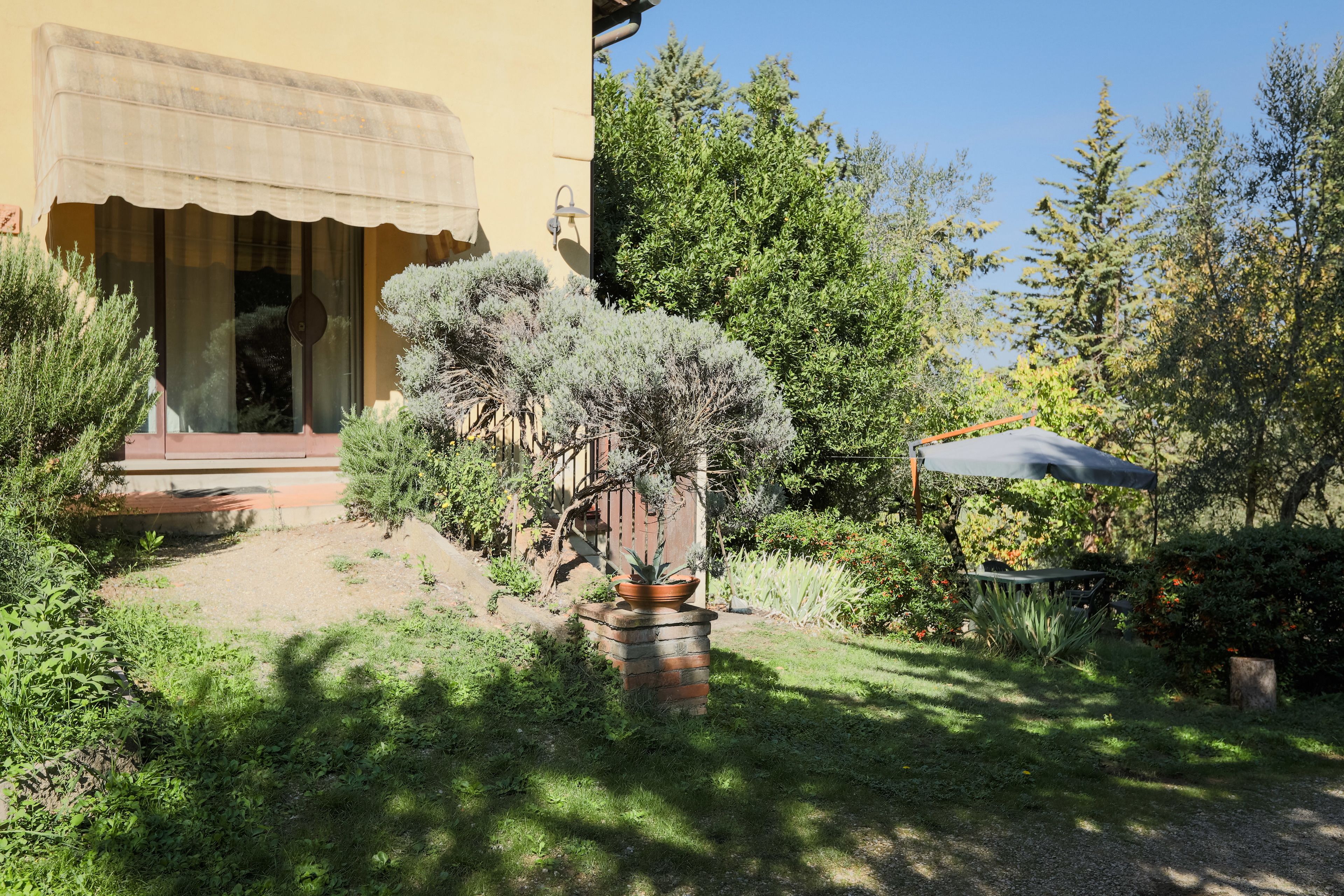 A garden with a potted tree, a bench, and a building with a covered entrance.