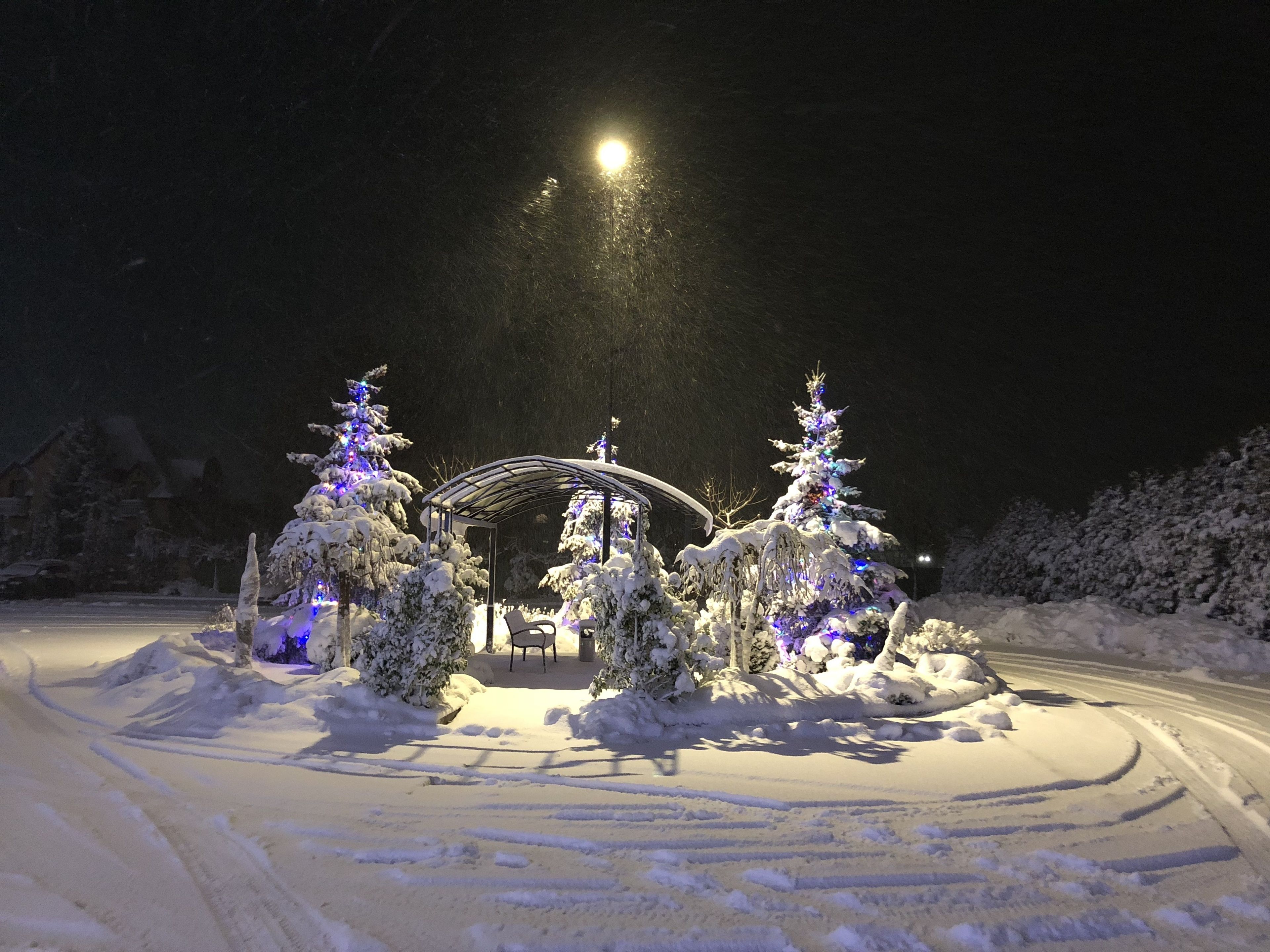 Un paysage enneigé avec un kiosque et des sapins de Noël, illuminés par un lampadaire.