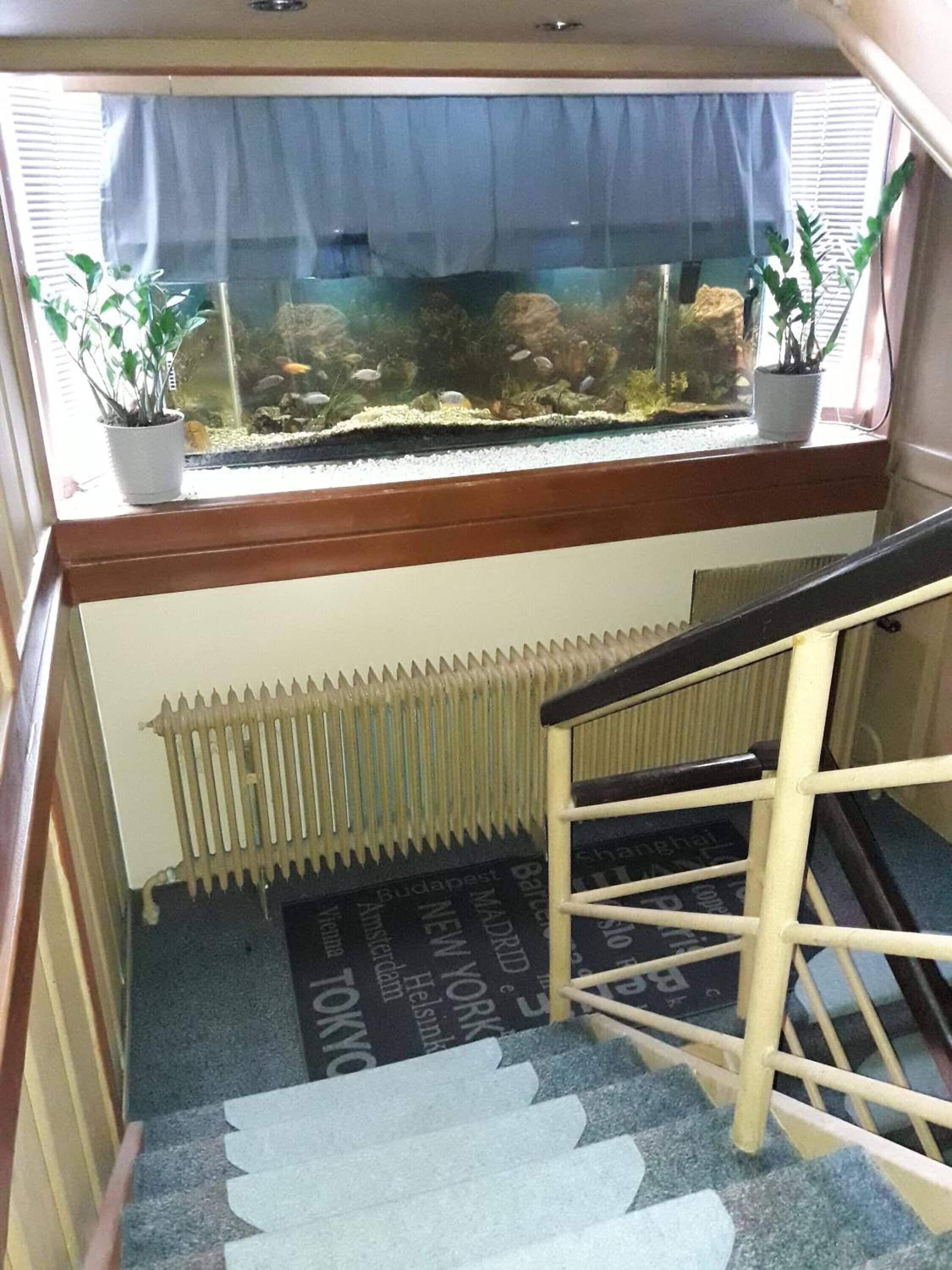 Photo - Botel Vodnik