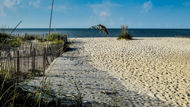 A sandy beach with a wooden fence and grass in the foreground. - The Rookery III Unit 4001 (Gulf Shores)