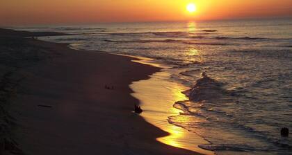 The Rookery II Unit 1101