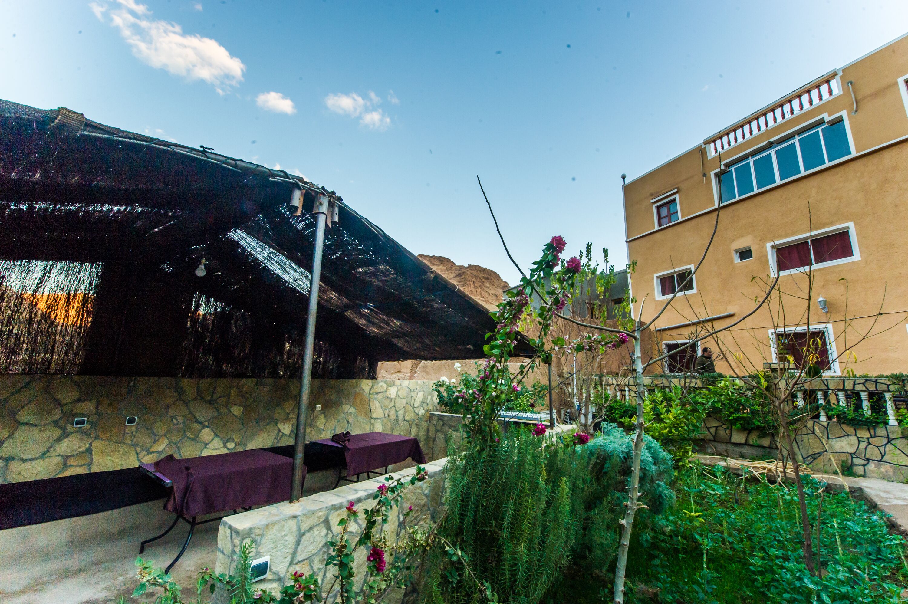 A stone wall with a thatched roof structure, a table with a purple tablecloth, and a building with blue windows and a balcony.
