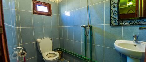A bathroom with a toilet, a sink, and a shower.