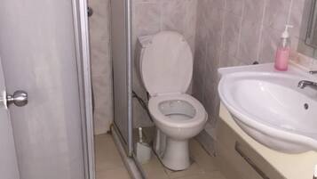 Un baño con inodoro, lavabo y zona de ducha.