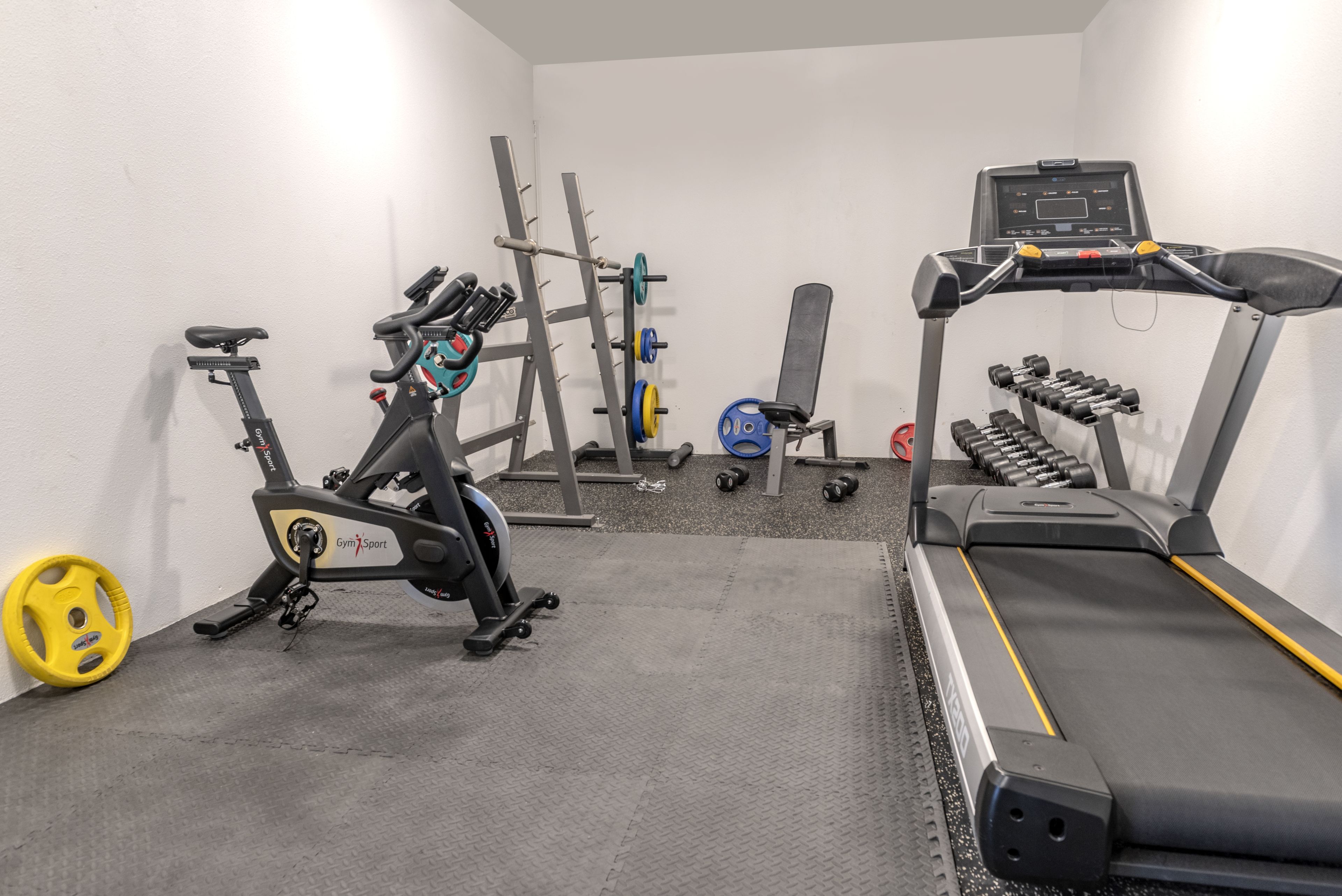 A gym with a stationary bike, treadmill, weight rack, and dumbbells.
