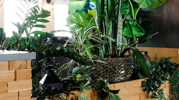 Una pared con diseño de paneles de madera, una cesta tejida con plantas y una planta colgante con enredaderas.