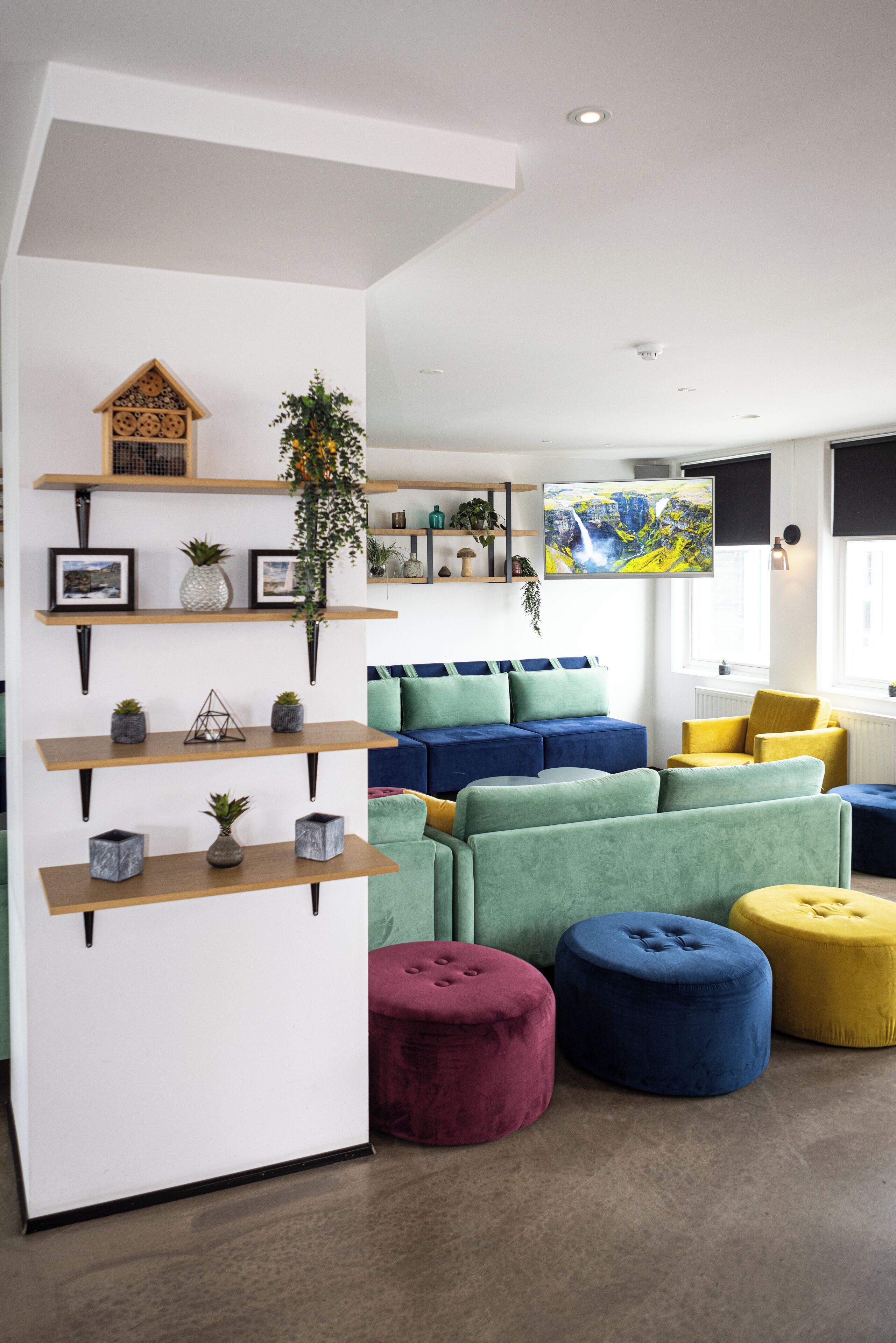 Ein modernes Wohnzimmer mit einem Ecksofa, bunten Hocker und Regalen mit Pflanzen und Dekoration.