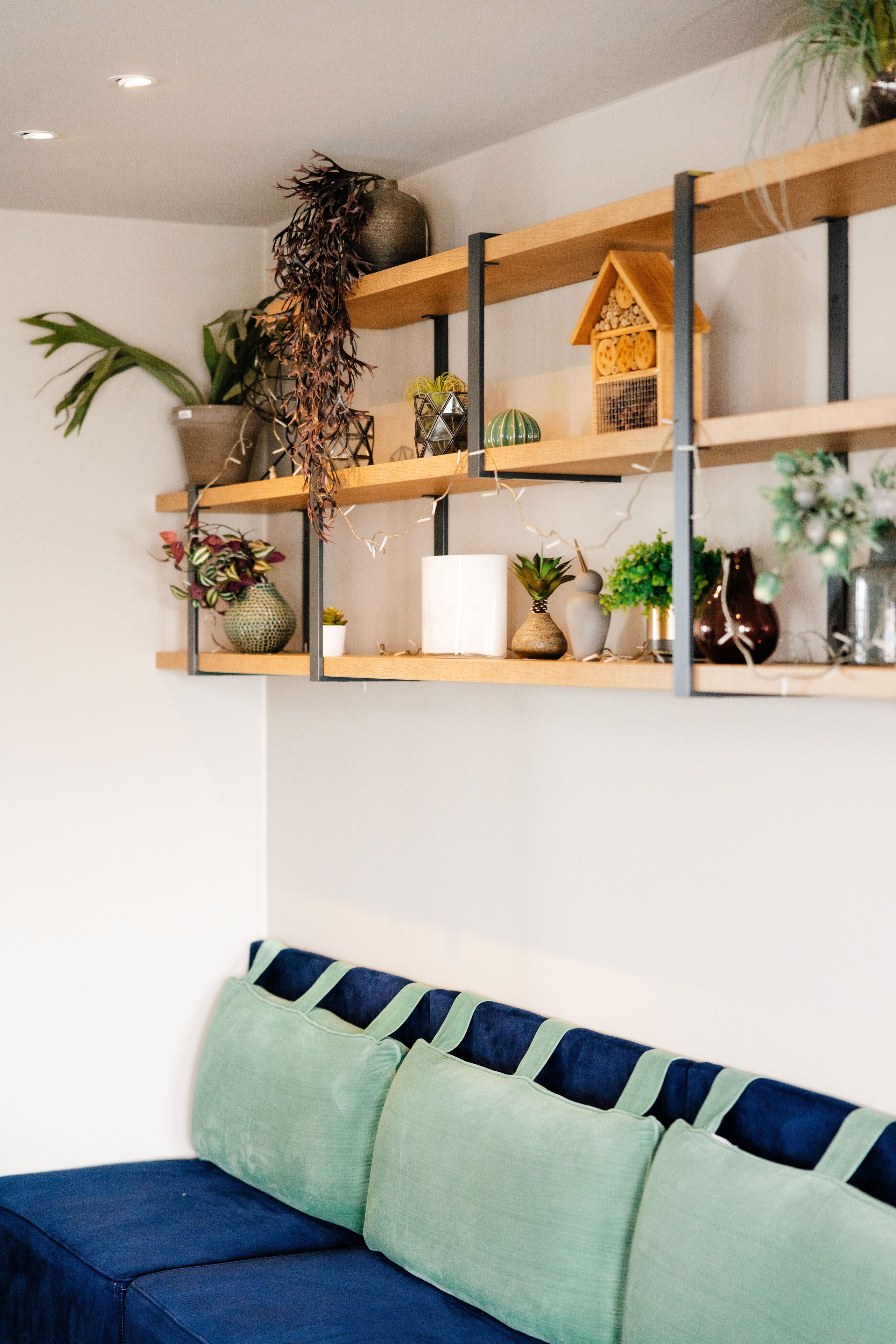 Et værelse med en blå sofa, træhylder med forskellige genstande og en hængende plante.