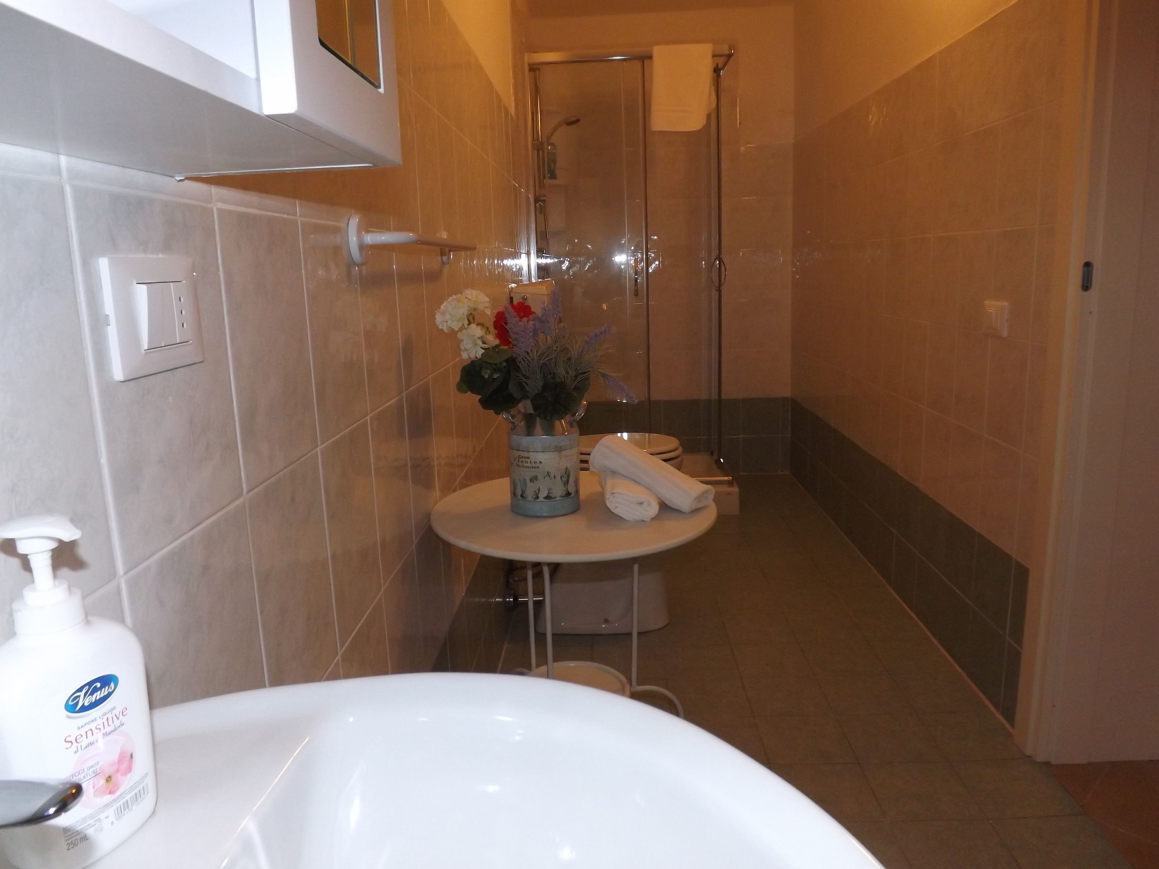 Studio, Terrasse | Badezimmer | Dusche, Haartrockner, Bidet, Handtücher