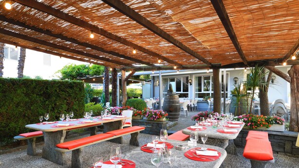 Un área de comedor al aire libre con mesas y bancos de piedra, techo de paja y plantas en macetas.