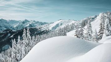 Paisaje montañoso cubierto de nieve con bosques densos y cumbres distantes.
