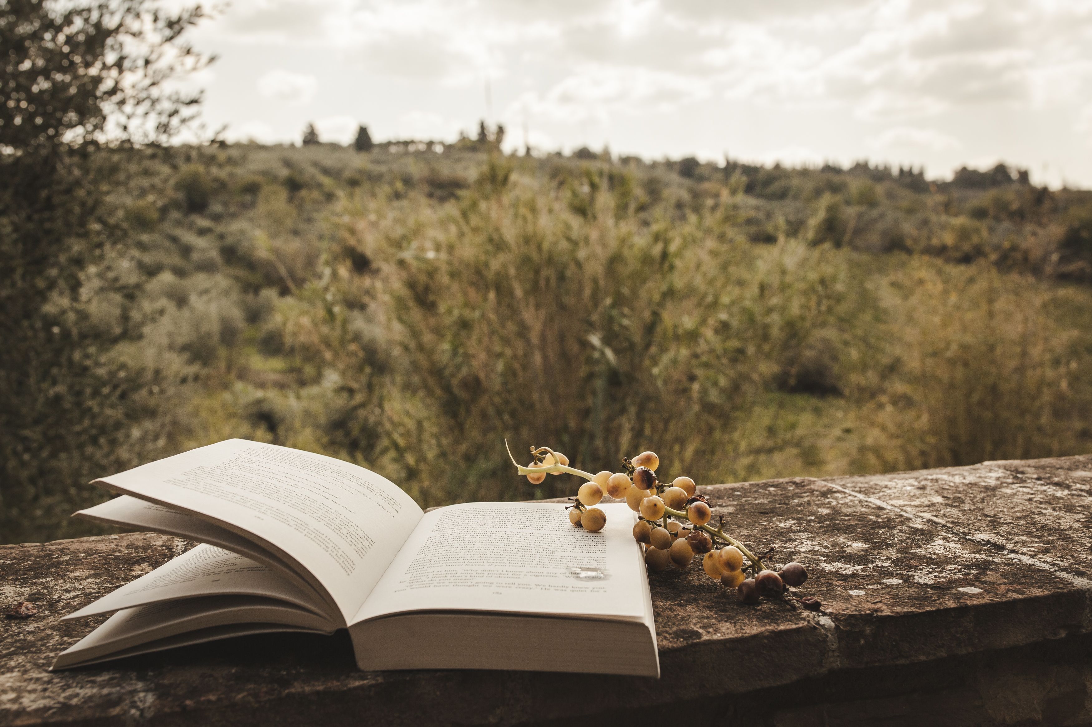 An open book on a stone surface with a bunch of grapes beside it.