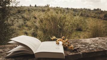 An open book on a stone surface with a bunch of grapes beside it.