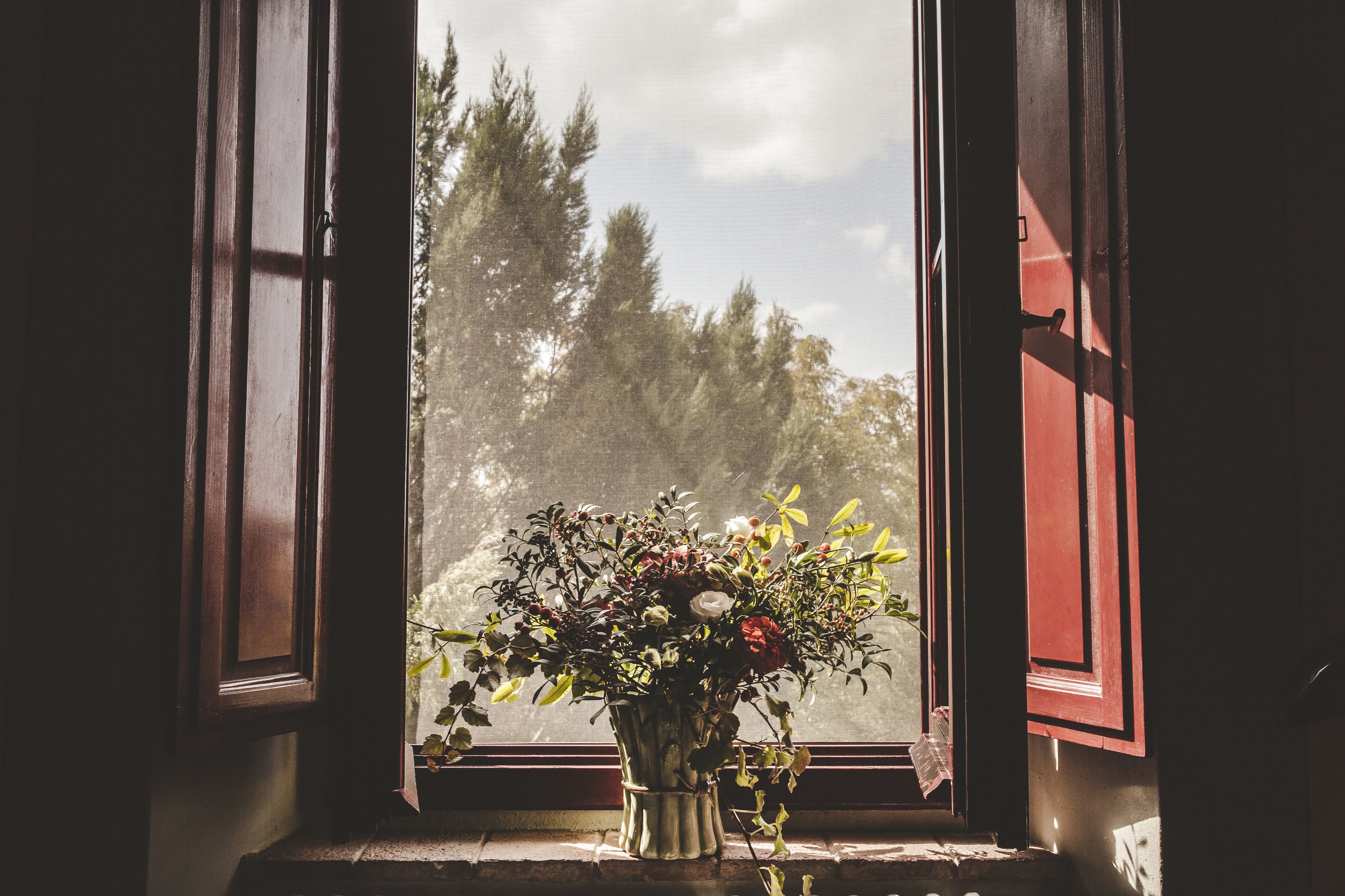 Une fenêtre ornée d’un vase de fleurs posé sur le rebord, une vue sur les arbres à l’extérieur, et une fenêtre entrouverte avec des volets en bois.