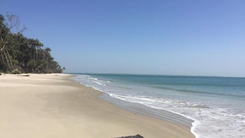 On the beach