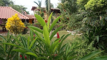 Jardín