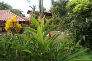 Garden - Club Pacifico Sur (Mariato)