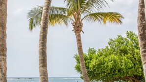 A beach scene with a turquoise bench, palm trees, and a clear view of the ocean. - Serene by the Sea (Savaneta)
