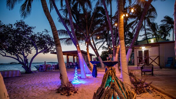 A beach setting with palm trees, a tiki bar, and a small building with a porch. - Serene by the Sea (Savaneta)