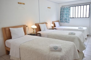 Chambre Triple, 3 lits une place, salle de bains privée | Fer et planche à repasser, lits pliants/supplémentaires, Wi-Fi gratuit